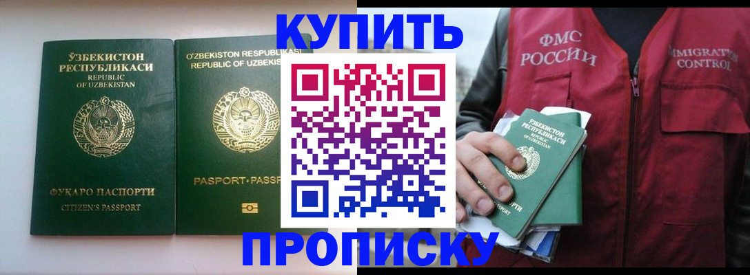 где прописаться в Каменке